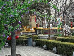 -白家大院·王府宫廷菜(苏州街店)