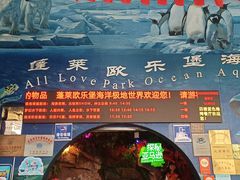 -蓬莱欧乐堡海洋极地世界