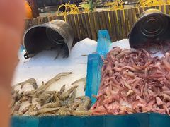 -新艺自助美食城(中山路店)