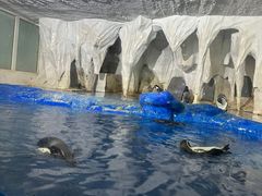 -太平洋海底世界