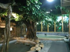 -御池园(顾村公园店)