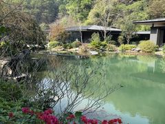 -云溪植物园