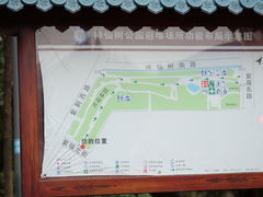 -神仙树公园