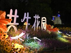 -南宁南湖公园