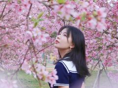 -天适樱花悠乐园