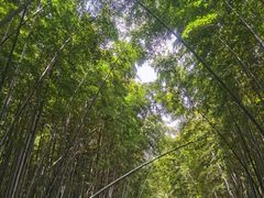 -同里国家湿地公园