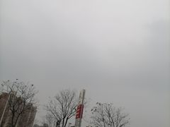 -中国石化北蔡加油站