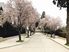 -郑州烈士陵园(二七区)