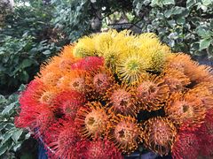 -南通洲际绿博园