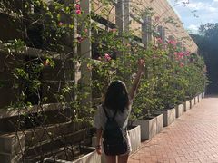 -香港大学