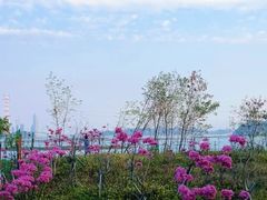 -海沧湾公园