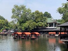 -侨美·唐荔园·40年地道粤菜