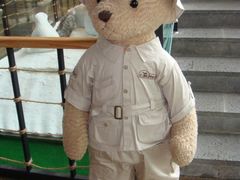 -济州岛泰迪熊博物馆