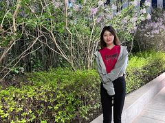 -淮扬府·游园京梦(中粮广场店)