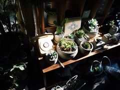 -时光花园(白鹭洲店)