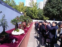 -重庆市江北嘴中央商务区中央公园