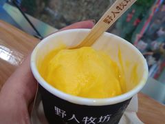 -野人先生现做冰淇淋(西安赛格店)