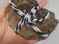 -七的湖·晚芳亭·阳澄湖农家菜·大闸蟹(莲花岛店)