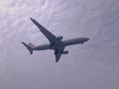 -空港花田景区
