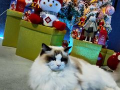 -零纪元VR体验馆·桌游(黄浦店)