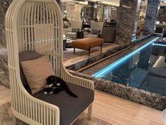-浅深(世茂滨江精品店)