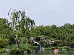 -桃花岛公园