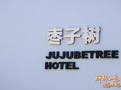 -枣子树·素食餐厅(普陀山店)