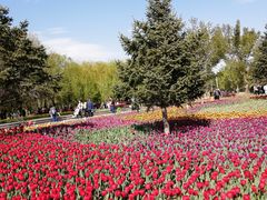 -长春公园(普阳街道)