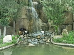 -北京野生动物园