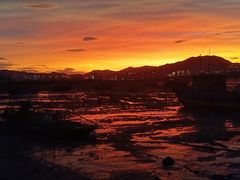 -北岐滩涂