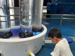 -中国宋庆龄青少年科技文化交流中心