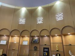 -深圳美莱医疗美容医院