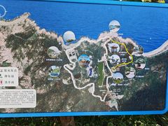-广东惠东海龟国家级自然保护区