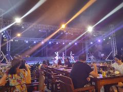 -渔家火锅·海鲜自助餐·演艺(亚龙湾天域酒店)
