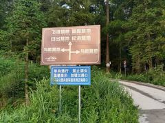 -重庆睡佛山森林公园