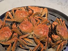 -半岛听涛蒸汽海鲜自助(K11店)