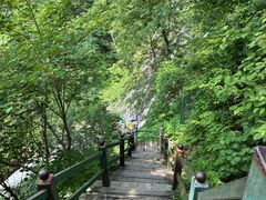 -凤凰山国家森林公园