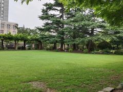-嘉定紫藤园