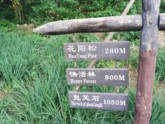 -鬼笑石后山停车场