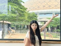 -灵玲国际马戏城