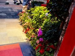 -黔蘑菇四季餐厅(观山湖店)