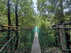 -云南屏边大围山国家公园