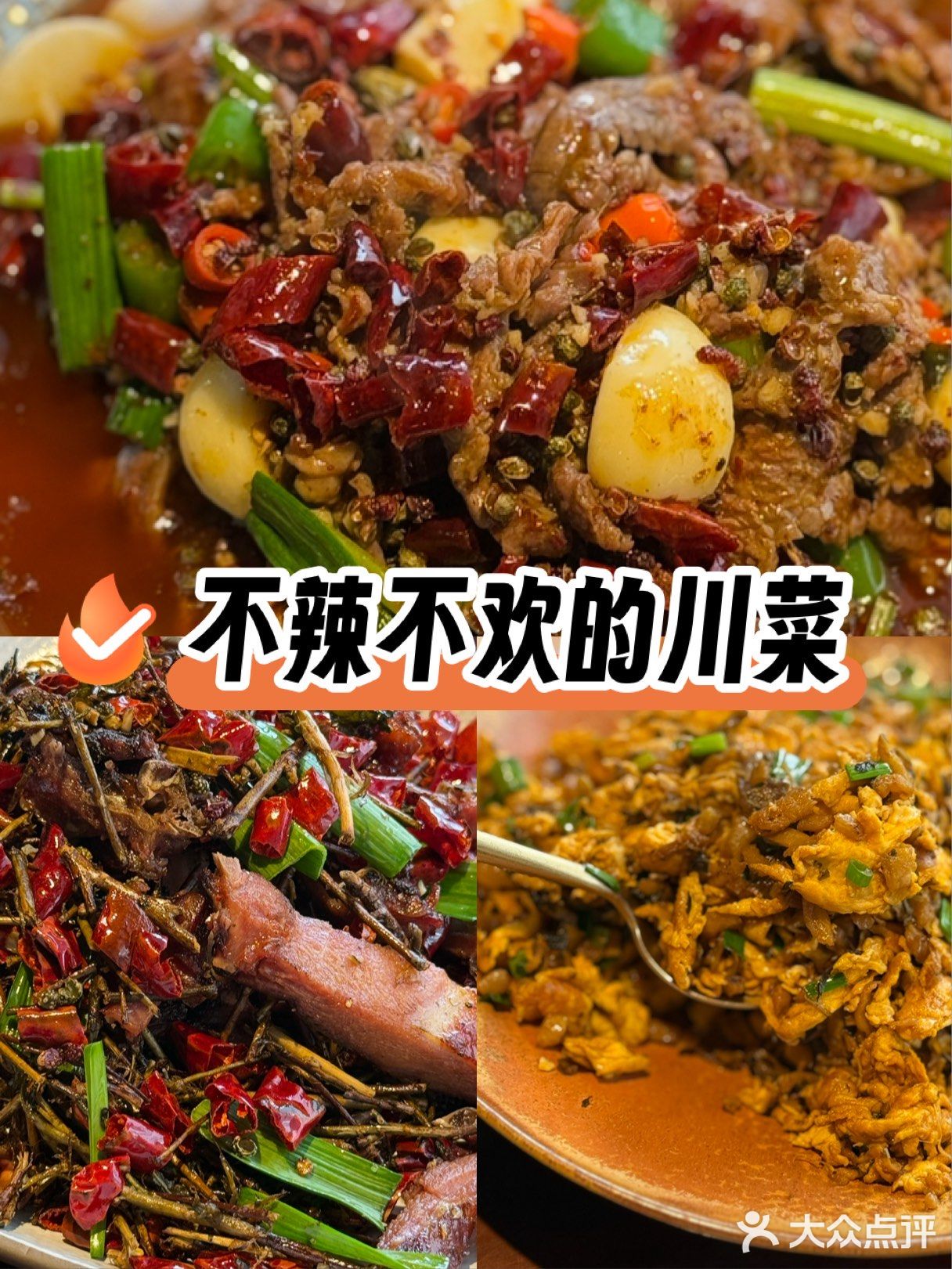 丹凤街附近！好吃的川菜！