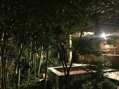 -江南天池高山汤泉城