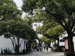 -绍兴鲁迅故里·沈园景区