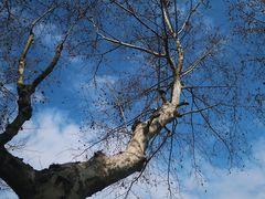 -凤凰御元艺术基地