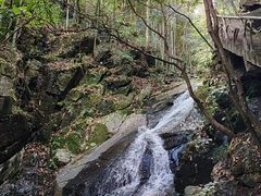 -藏龙百瀑风景区