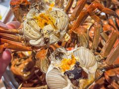 -聚盛源蒸汽海鲜火锅烤肉自助(巨川金海岸购物广场店)