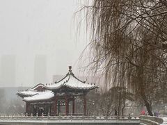 -迎泽公园