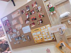 -滚猫咖啡·猫咖·猫友好撸猫(未来城店)